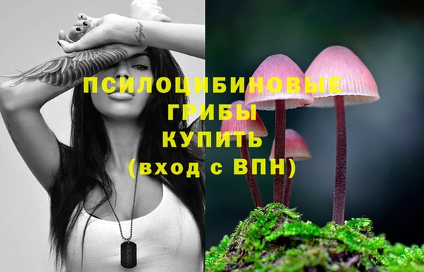 стафф Абаза